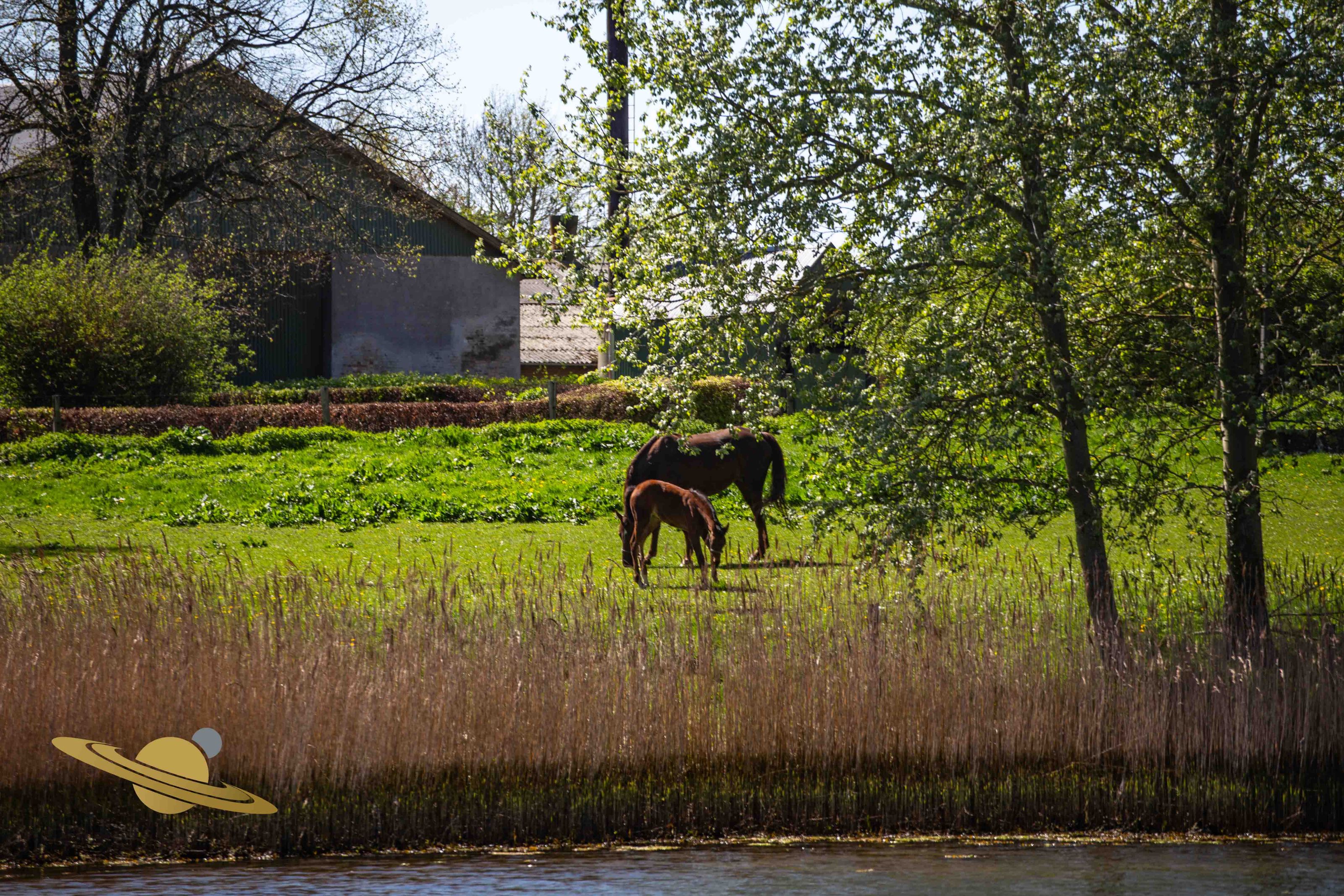 Dyvig - Sønderborg