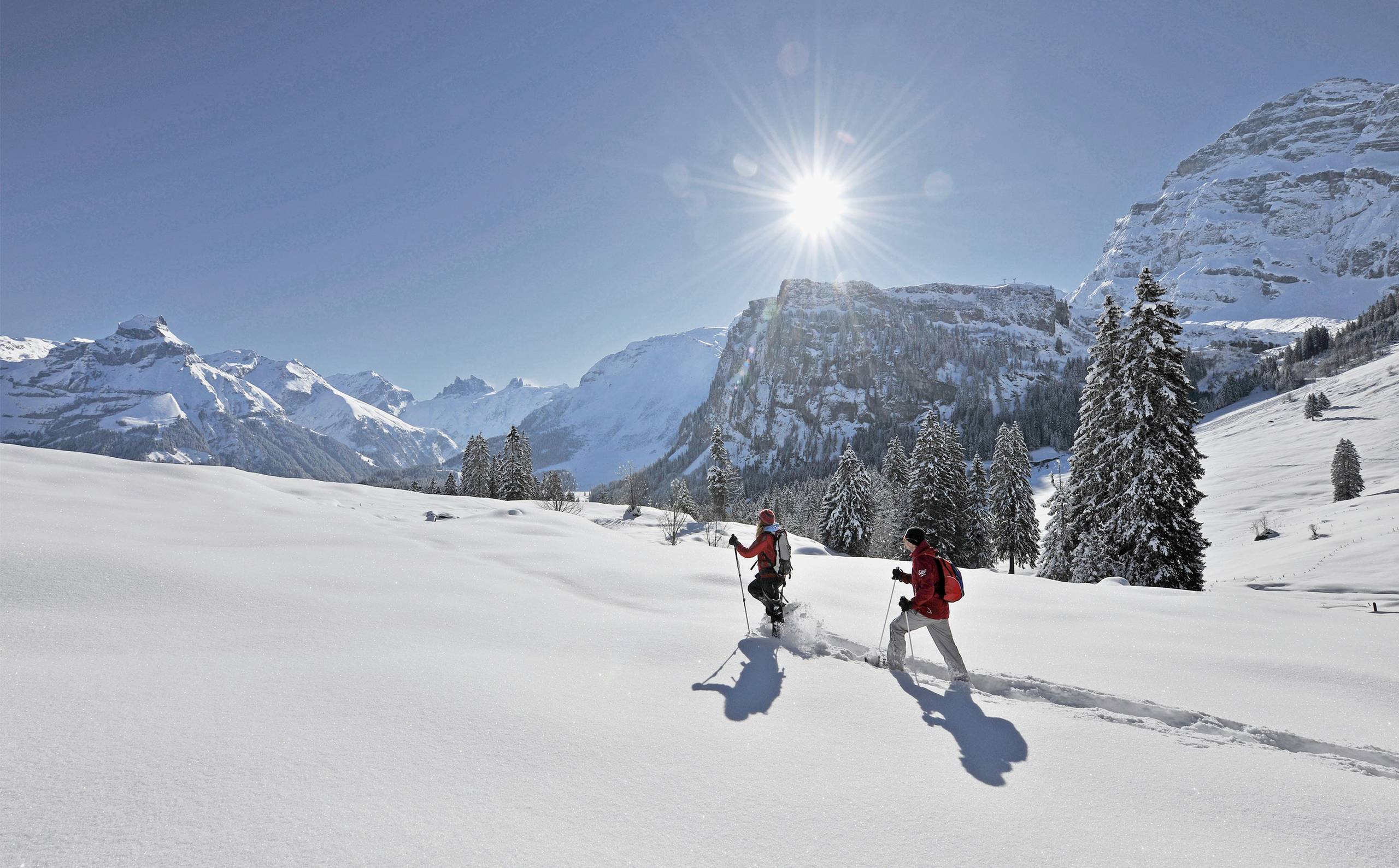 A breath of mountain life