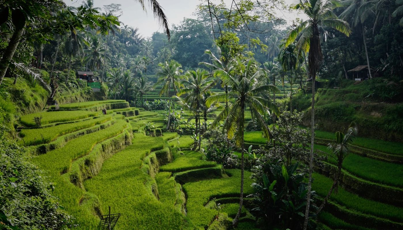 Bali Villa Scams: Fake Notaris, Land Certificate Fraud, and Nominee Structure Risks