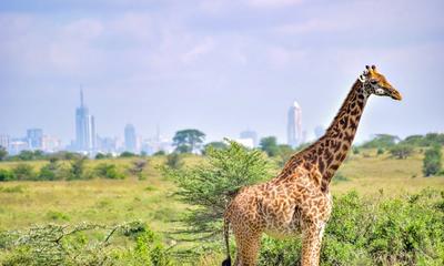 Nairobi vs Mombasa vs Kisumu: Where Should Foreign Buyers Invest in Kenya (2026)
