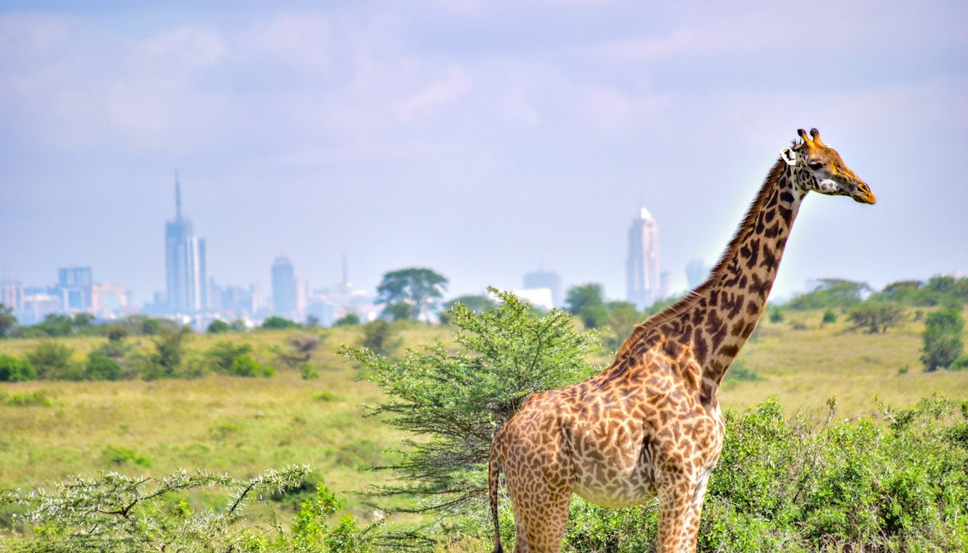 Nairobi vs Mombasa vs Kisumu: Where Should Foreign Buyers Invest in Kenya (2026)