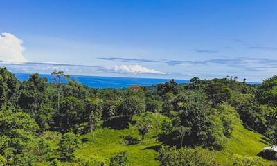 Panama City vs Bocas del Toro vs Coronado: Where to Buy in 2026