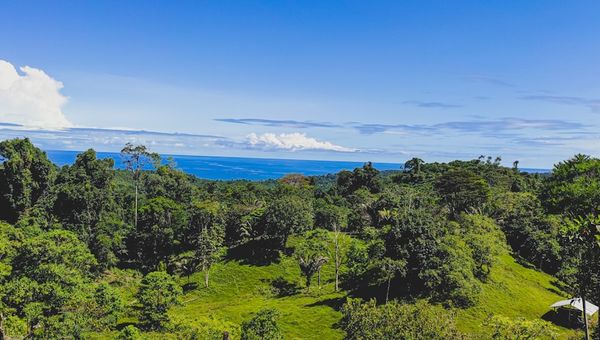 Panama City vs Bocas del Toro vs Coronado: Where to Buy in 2026