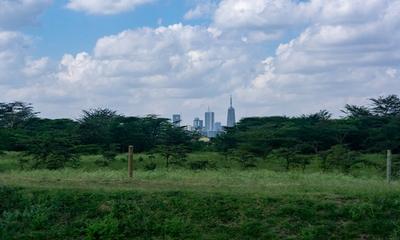 Pam Golding Properties Kenya: The Legal Entity Behind the Brand
