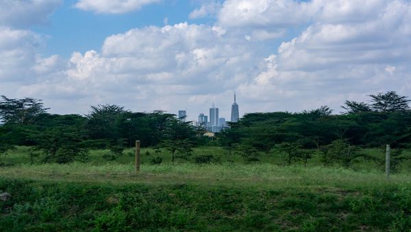 Pam Golding Properties Kenya: The Legal Entity Behind the Brand