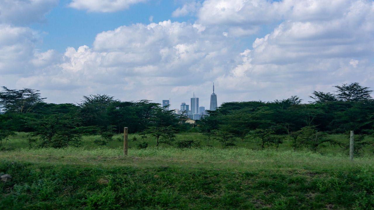 Pam Golding Properties Kenya: The Legal Entity Behind the Brand