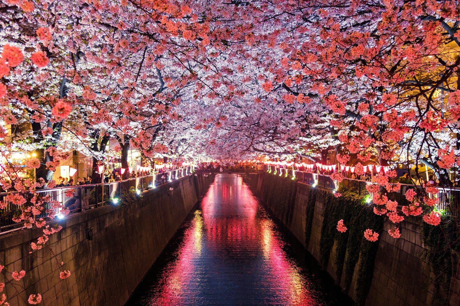 Fukuoka Real Estate Briefing - April 12, 2026