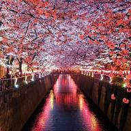 Fukuoka Real Estate Briefing - April 12, 2026