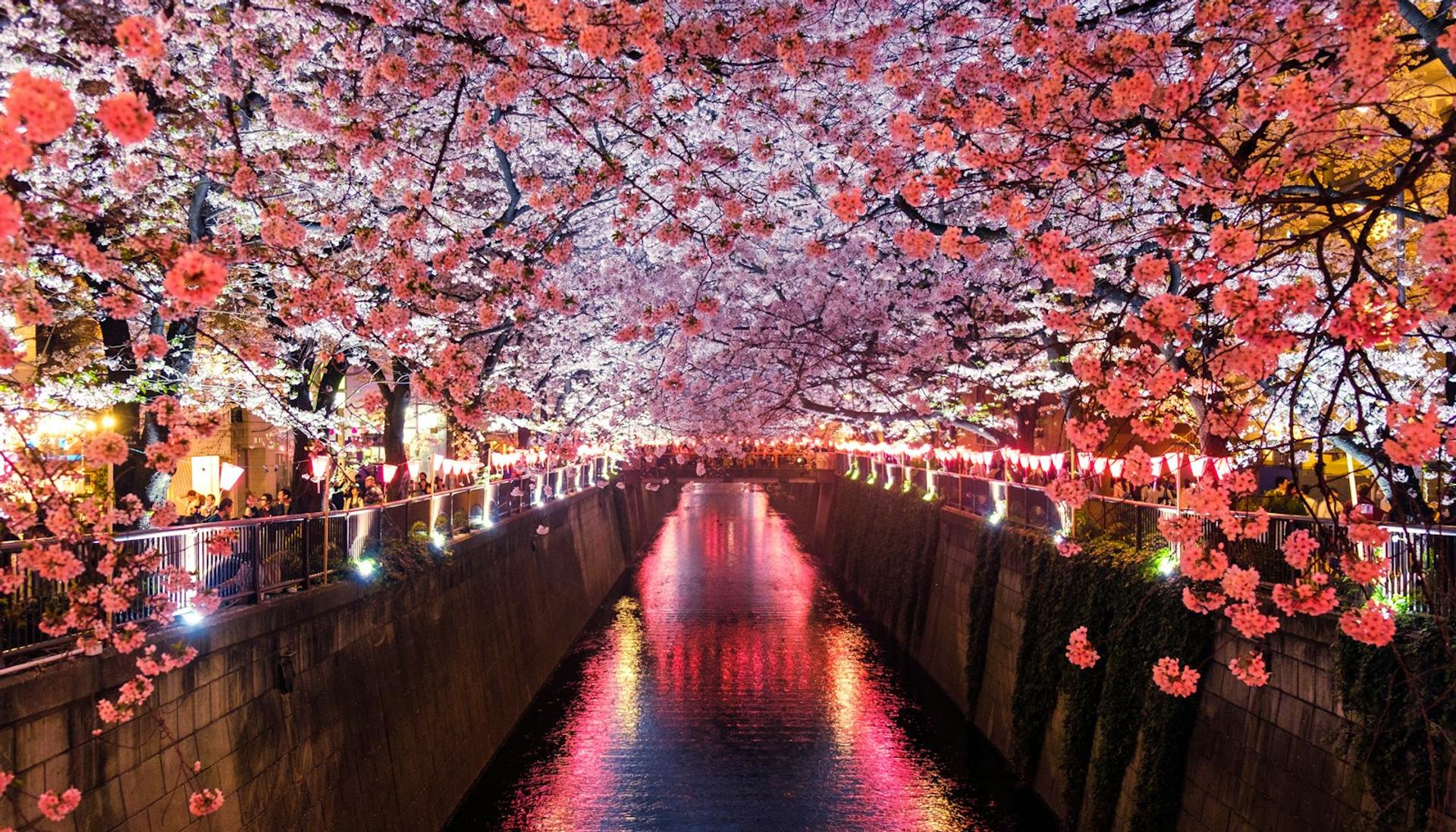 Fukuoka Real Estate Briefing - April 12, 2026