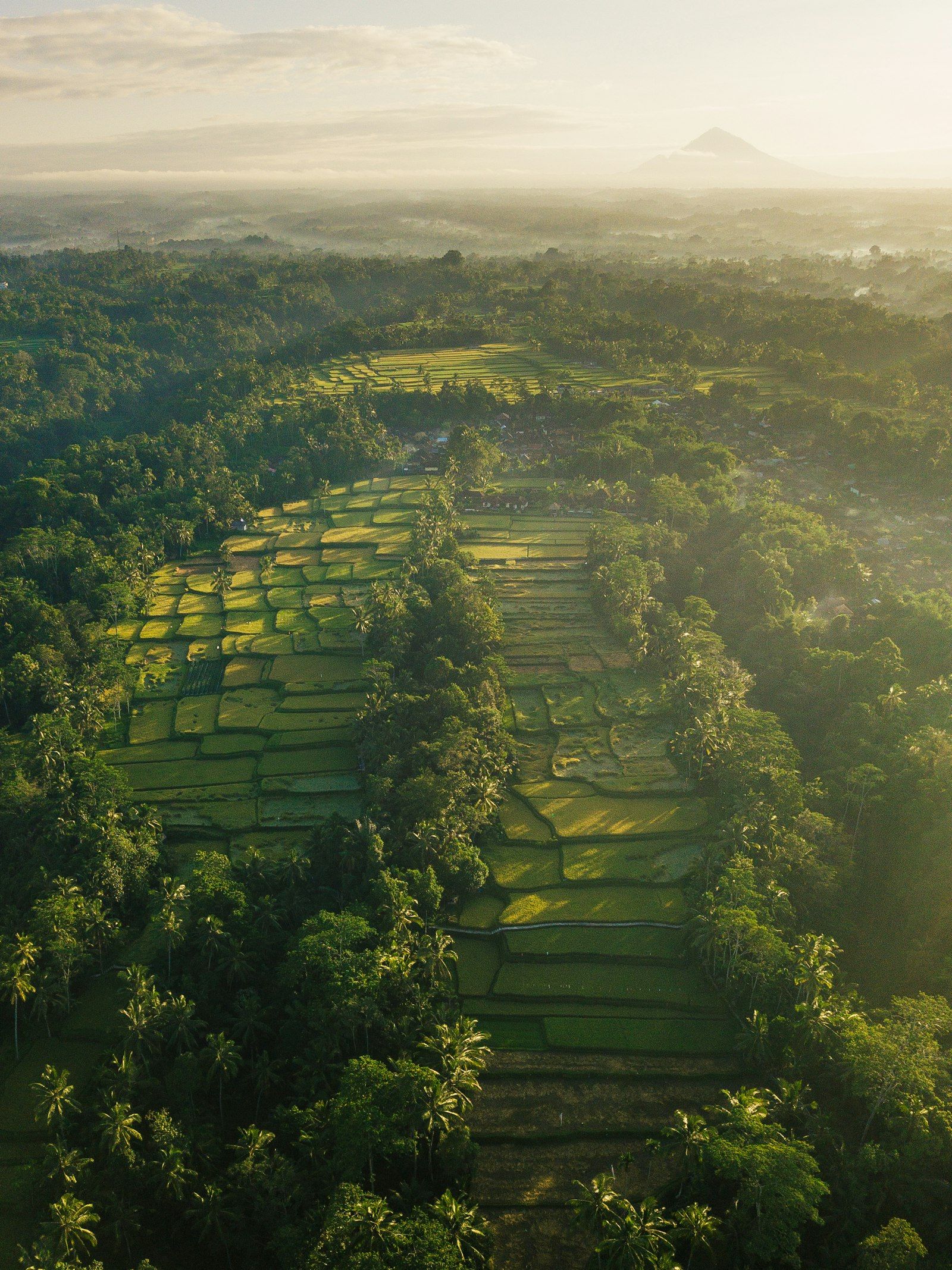 Leasehold vs PT PMA: How Foreigners Should Structure a Bali Property Purchase in 2026