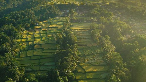 Leasehold vs PT PMA: How Foreigners Should Structure a Bali Property Purchase in 2026
