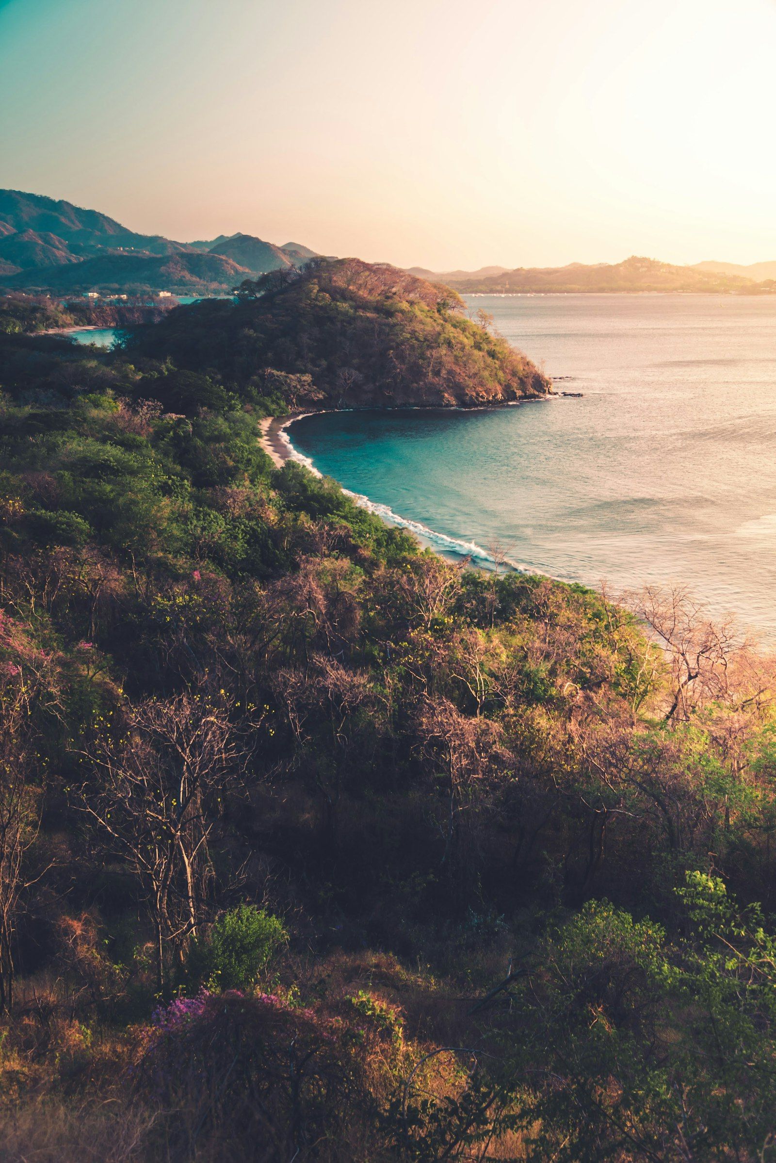 What Happens If You Buy in Costa Rica's Maritime Zone (Concession Land)