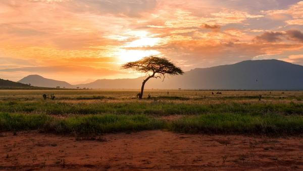 Nairobi Real Estate Briefing - 2026-04-02