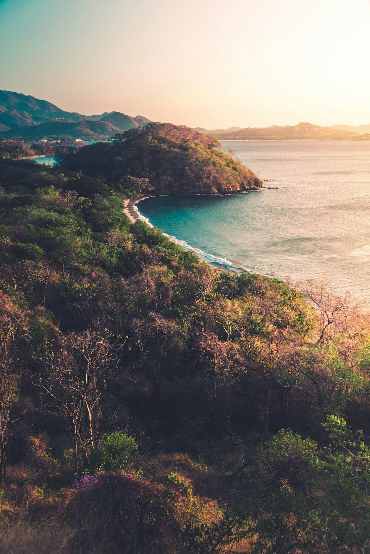 Top Property Developers in Costa Rica for Foreign Buyers in 2026