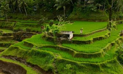 Indonesia Real Estate FAQ for Foreign Buyers: 25 Questions Answered
