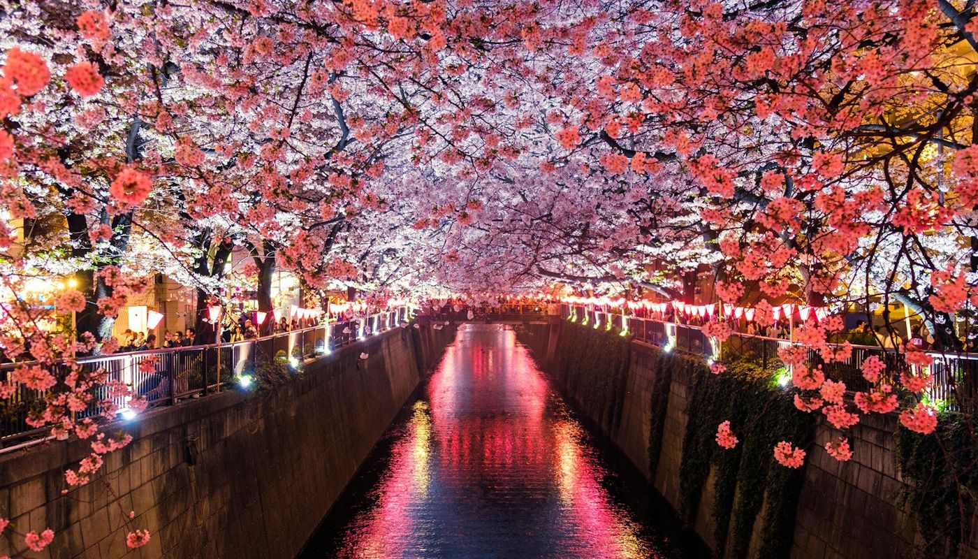 Fukuoka Real Estate Briefing – May 29, 2026