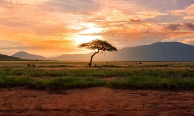 Nairobi Real Estate Briefing – May 1, 2026