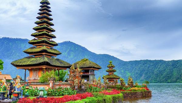 New Life Bali: Who Is Behind It, and What Its Lease Terms Actually Say