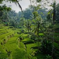 Bali Real Estate Briefing - 2026-03-27