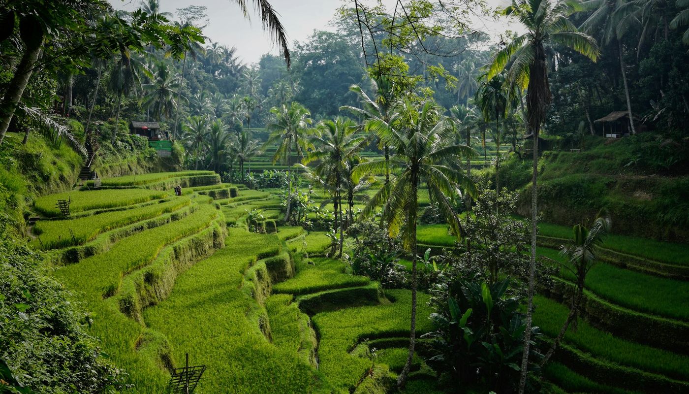 Bali Real Estate Briefing - 2026-03-27