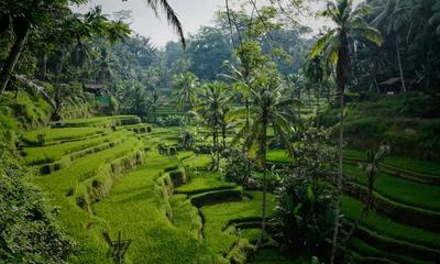 Bali Real Estate Briefing - 2026-03-27