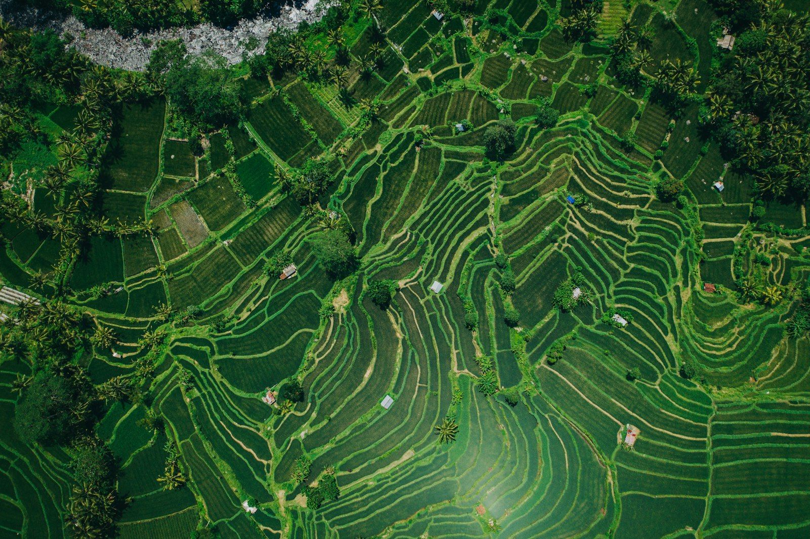 ADVA Development in Bali: The Website Is Gone and Two Projects Were Still Selling