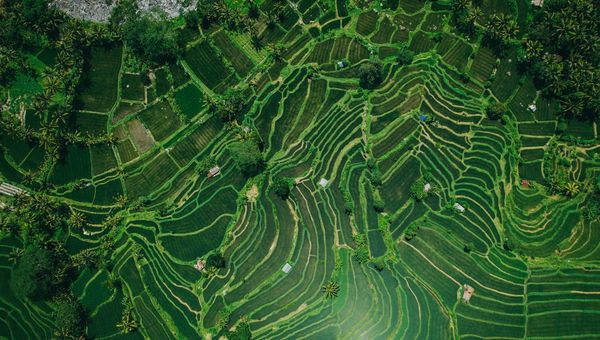 ADVA Development in Bali: The Website Is Gone and Two Projects Were Still Selling