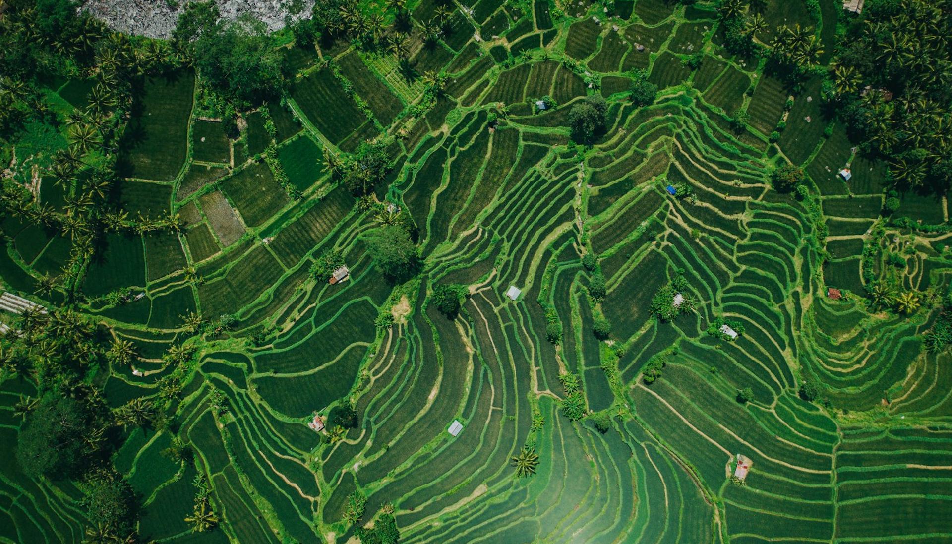 ADVA Development in Bali: The Website Is Gone and Two Projects Were Still Selling