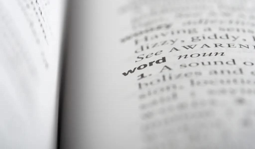 The Importance of Teaching Academic Vocabulary