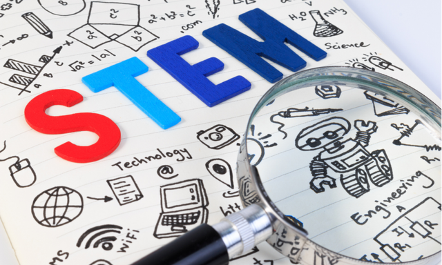 The Rise of STEM Tutoring