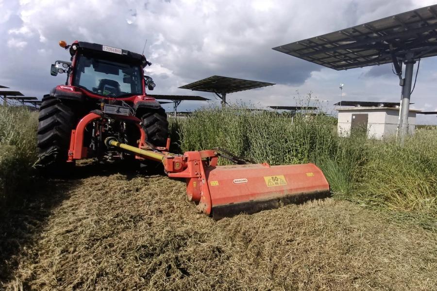 palau-anglesola-SOLUXIONS1