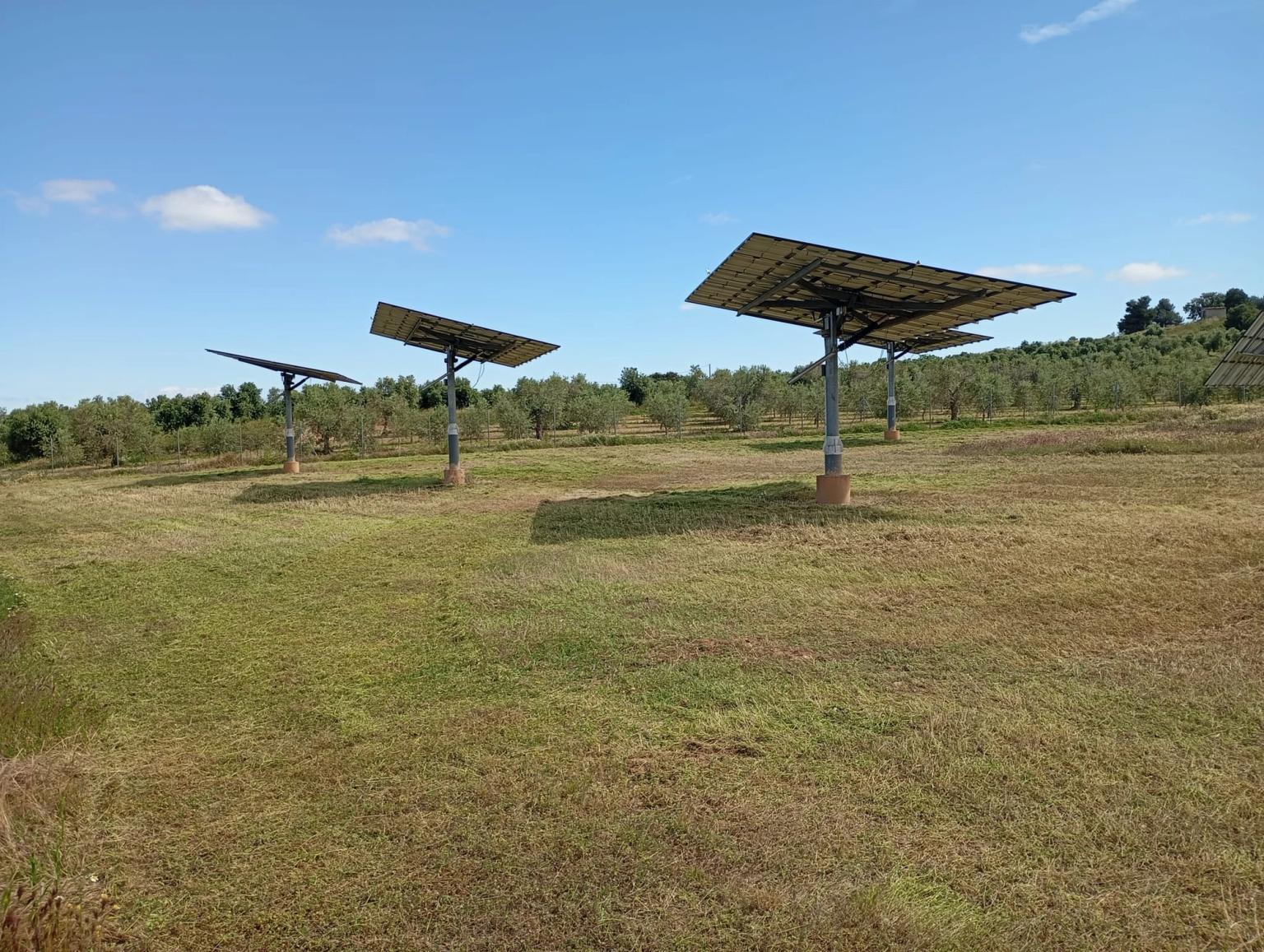 imagen-palau-anglesola