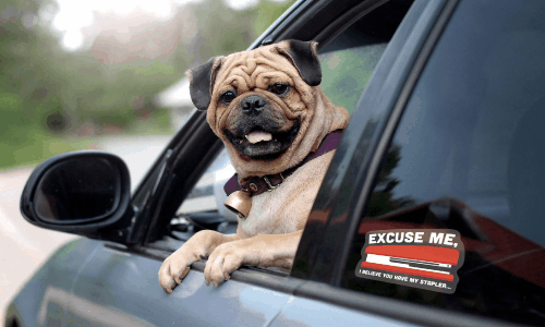 Car Window Stickers: A Guide to Your Mobile Flair | Stickers.com
