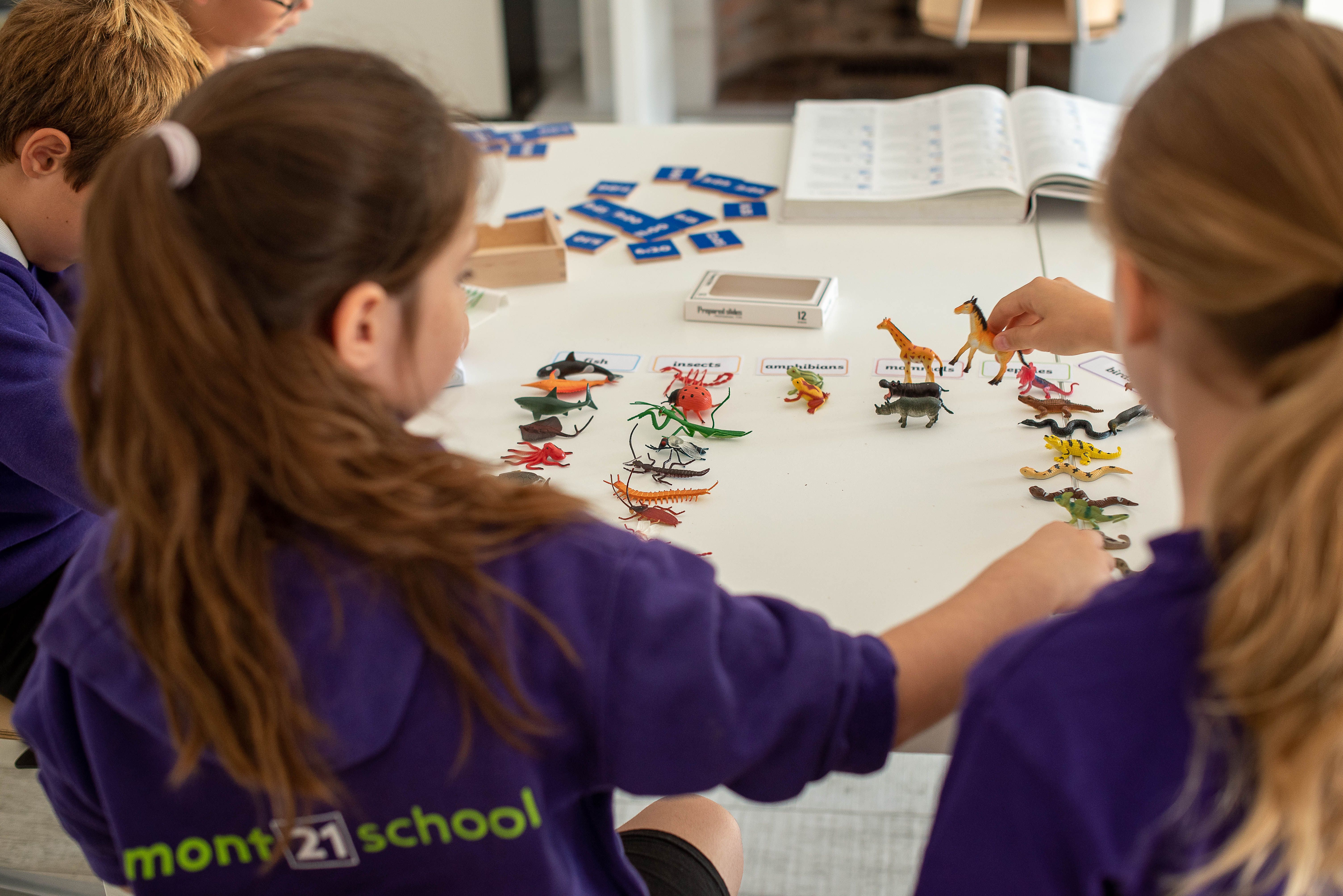 young girls using Montessori animal material