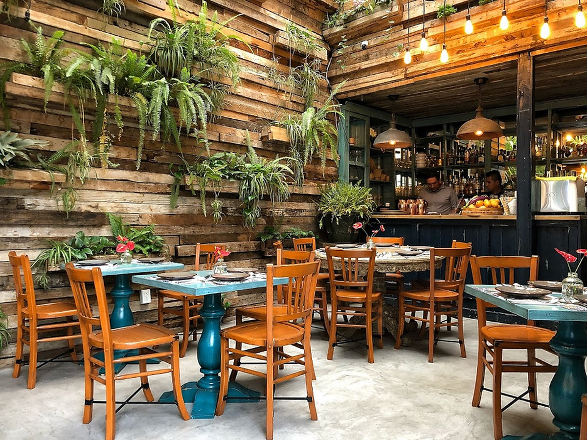 Platillo de Kiin Thai Viet Eatery en Roma Norte
