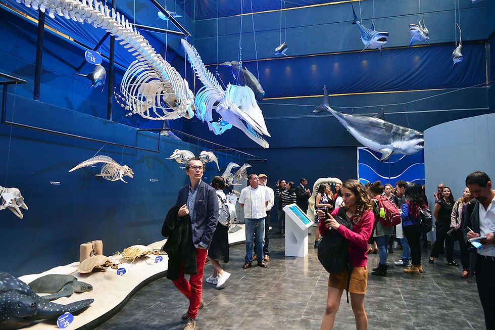 Museos interactivos en la CDMX: los mejores para niños y adultos