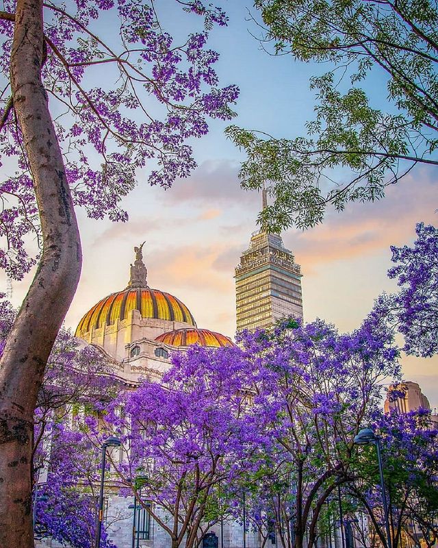 Calles de la Ciudad de México en un día templado de temporada seca
