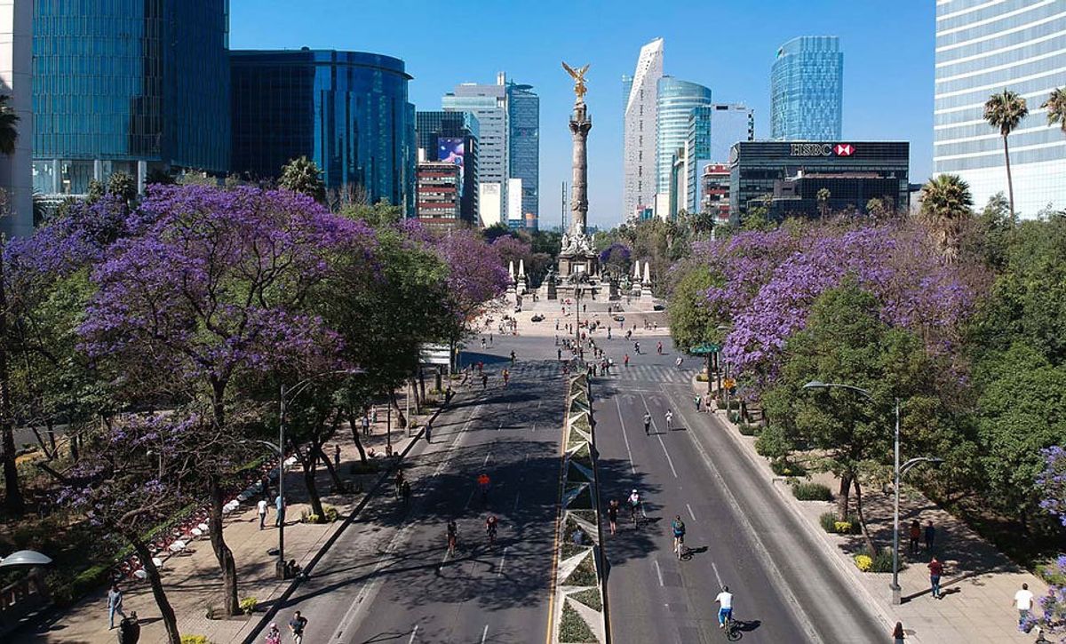 Paseo de la Reforma con sus monumentos y camellones