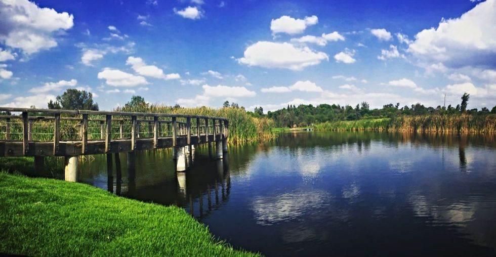 Parque Ecológico de Xochimilco: guía del renovado pulmón de la CDMX
