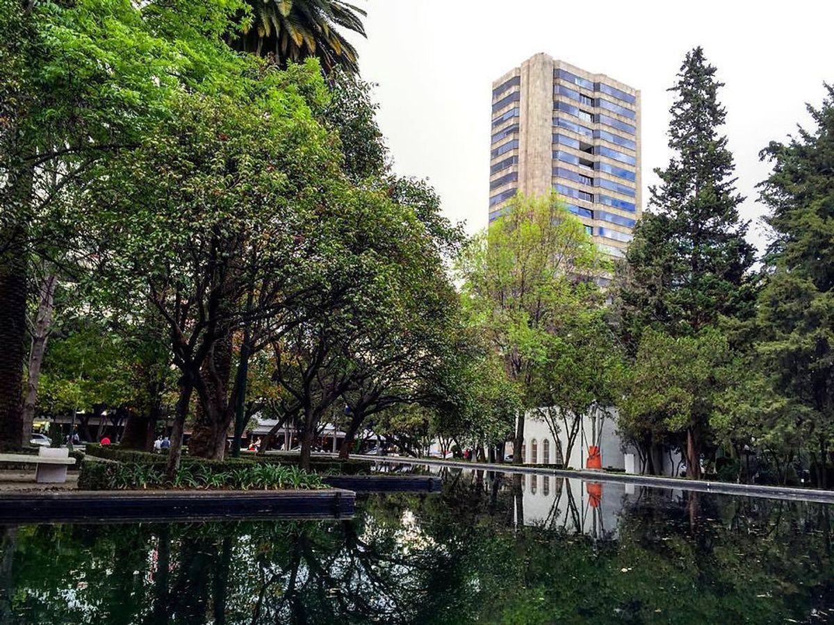 Polanco, gastronomía y cultura