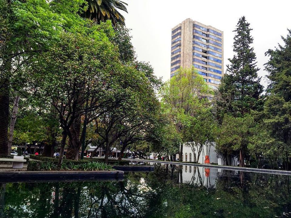 Polanco, gastronomía y cultura