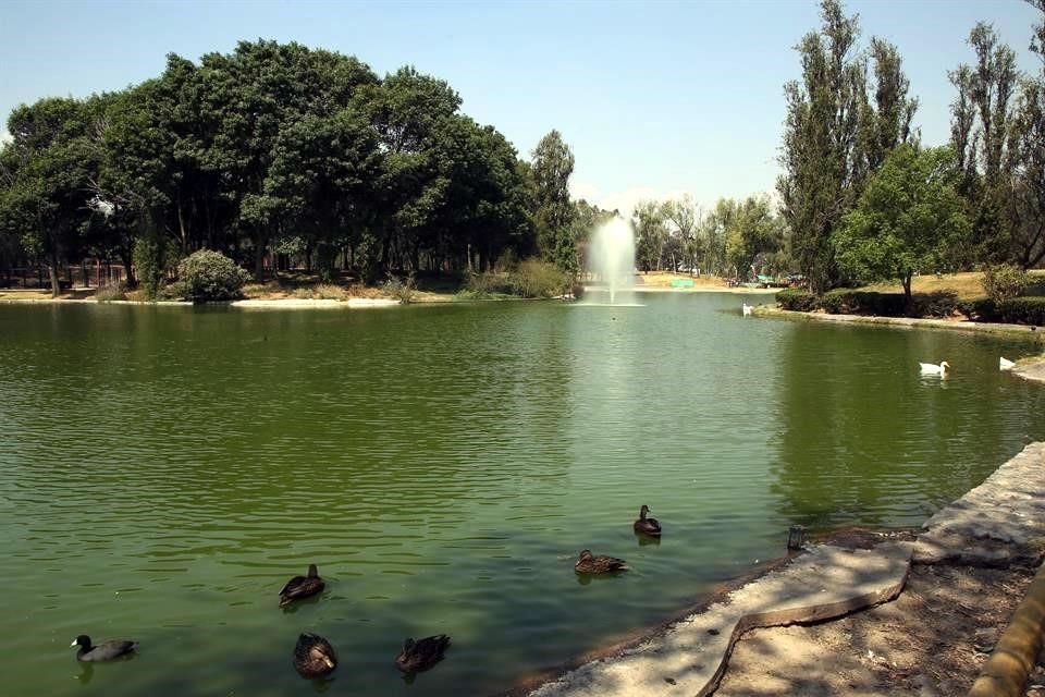 Lago artificial del Parque Tezozómoc al norte de la CDMX