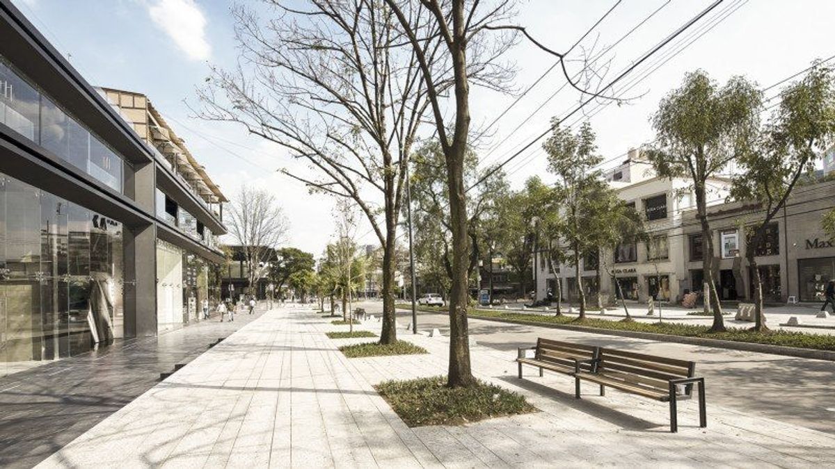Avenida Masaryk en Polanco, ideal para caminar