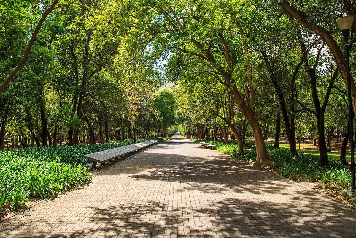 Lago artificial del Bosque de Chapultepec