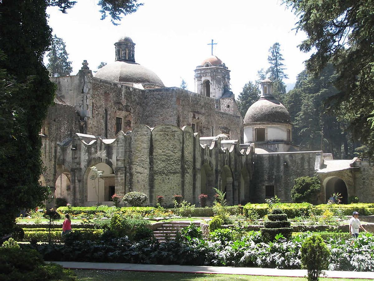 Senderos del Desierto de los Leones, área natural protegida de CDMX