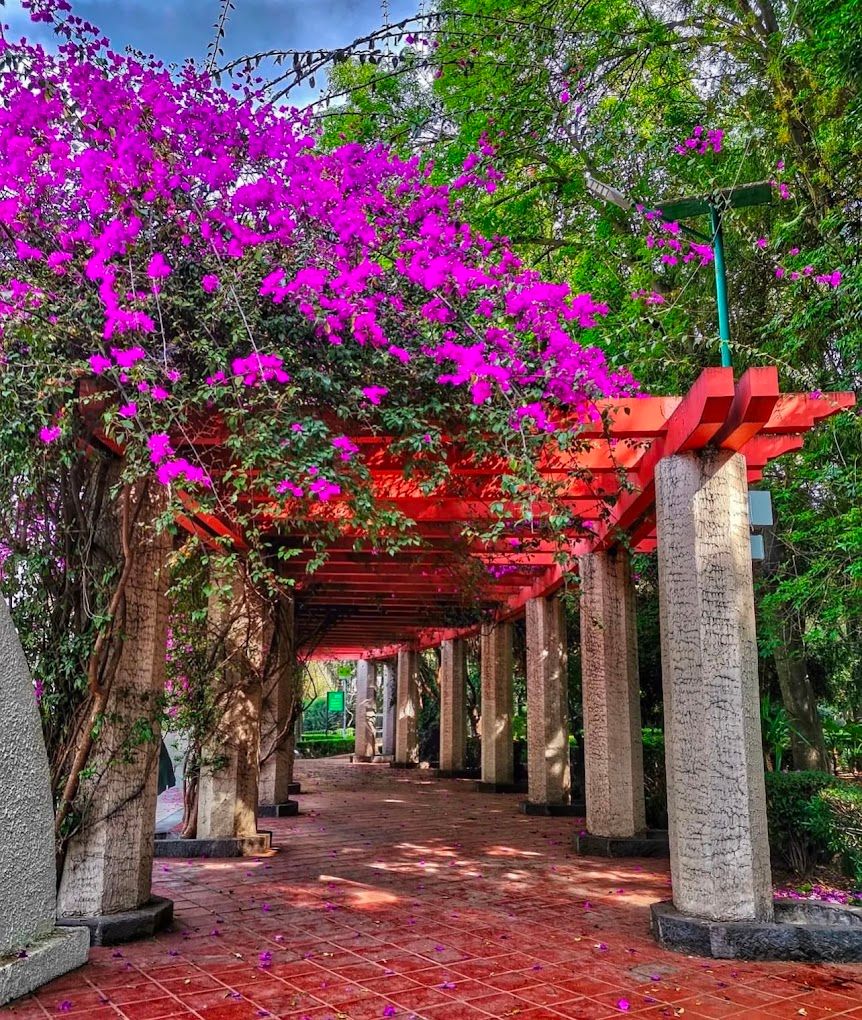 Parque México & Parque España: A Guide to Condesa's Green Heart
