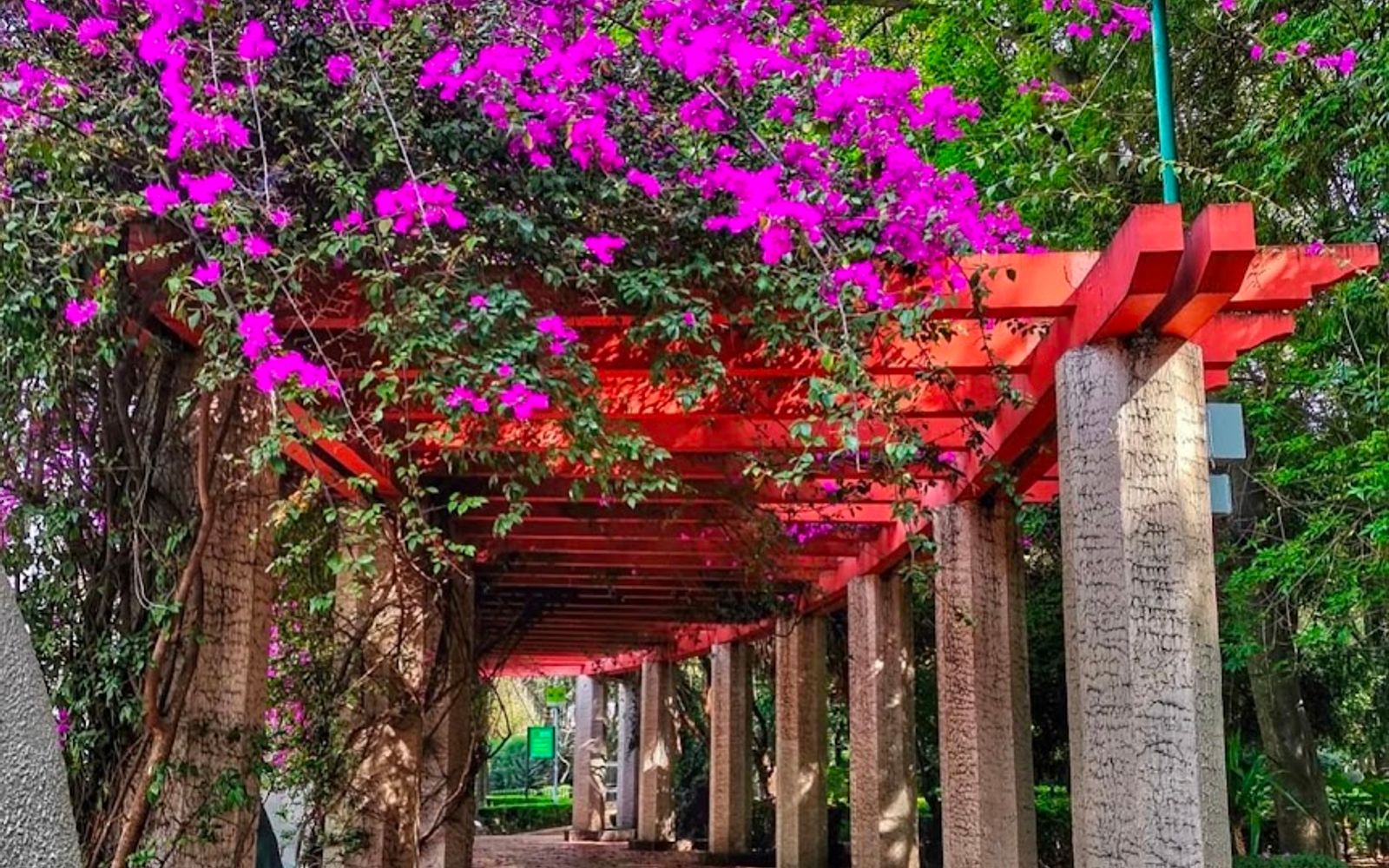 Parque México & Parque España: A Guide to Condesa's Green Heart
