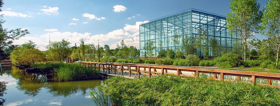 Actividades al aire libre en la CDMX: los mejores parques para ir en familia