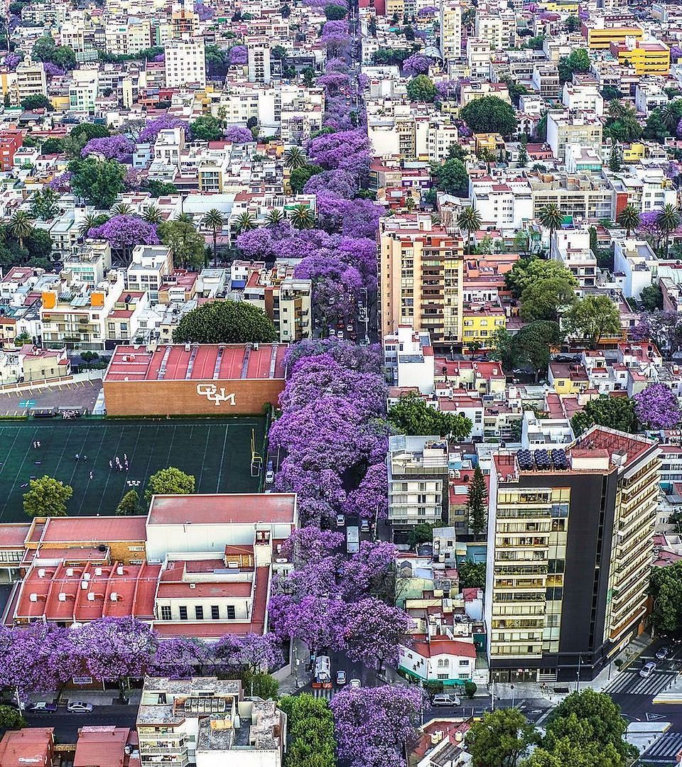 Vista de la Ciudad de México bajo un cielo azul