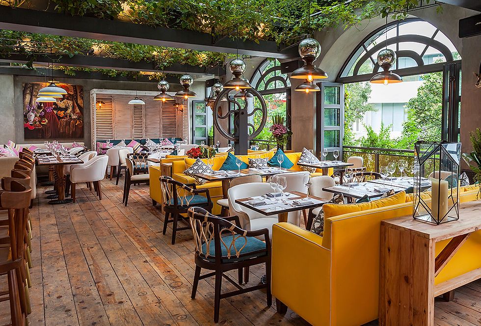 Terraza con techo de enredaderas de La Única en Polanco